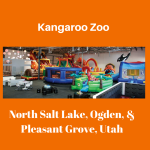 Kangaroo Zoo